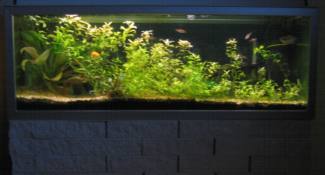 200-liters akvarium 200-liters akvarium